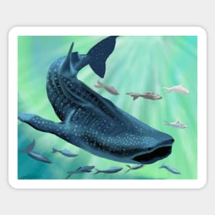 Whale Shark and Friends Sticker